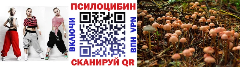 Галлюциногенные грибы Cubensis  купить наркотик  Терек 